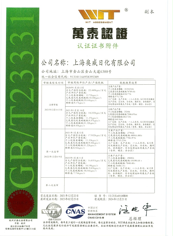 上海奥威能源管理体系认证证书