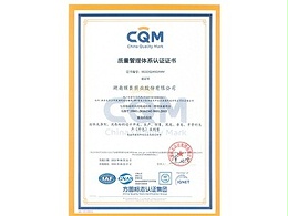 湖南丽臣质量管理体系认证证书
