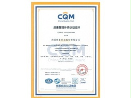 湖南丽臣质量管理体系认证证书