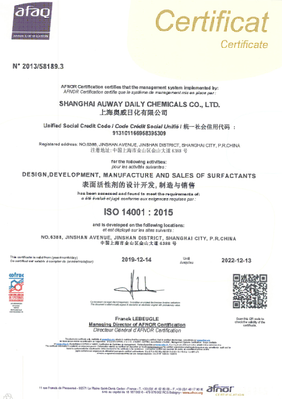 上海奥威2019年环境体系认证证书