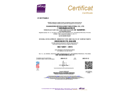 广东奥威2020年环境体系认证证书